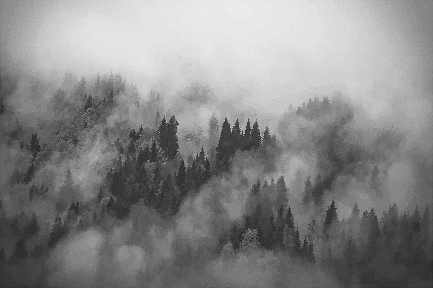 1500x1000 Fog Forest Wallpaper, Foggy Hills Mural