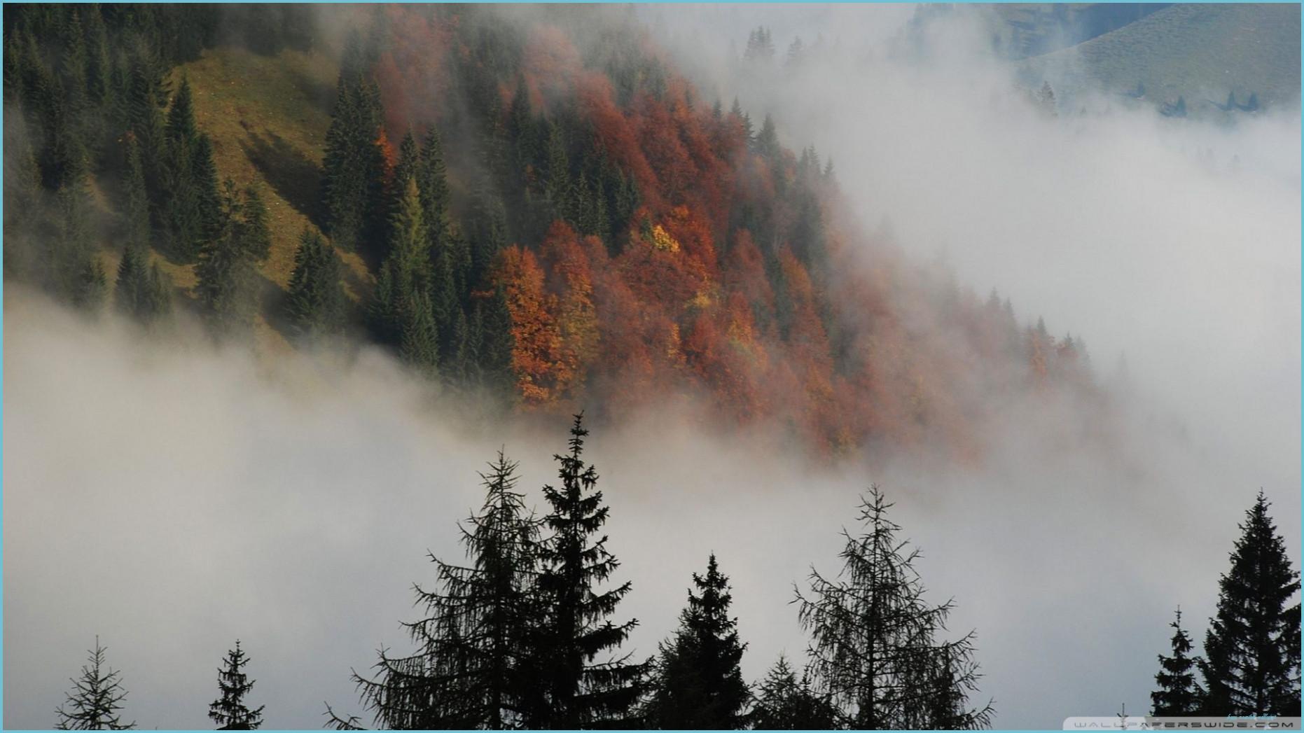 1862x1047 Foggy Mountain Forest (11 X 11) Beautiful Photo Of Nature Mountain Wallpaper
