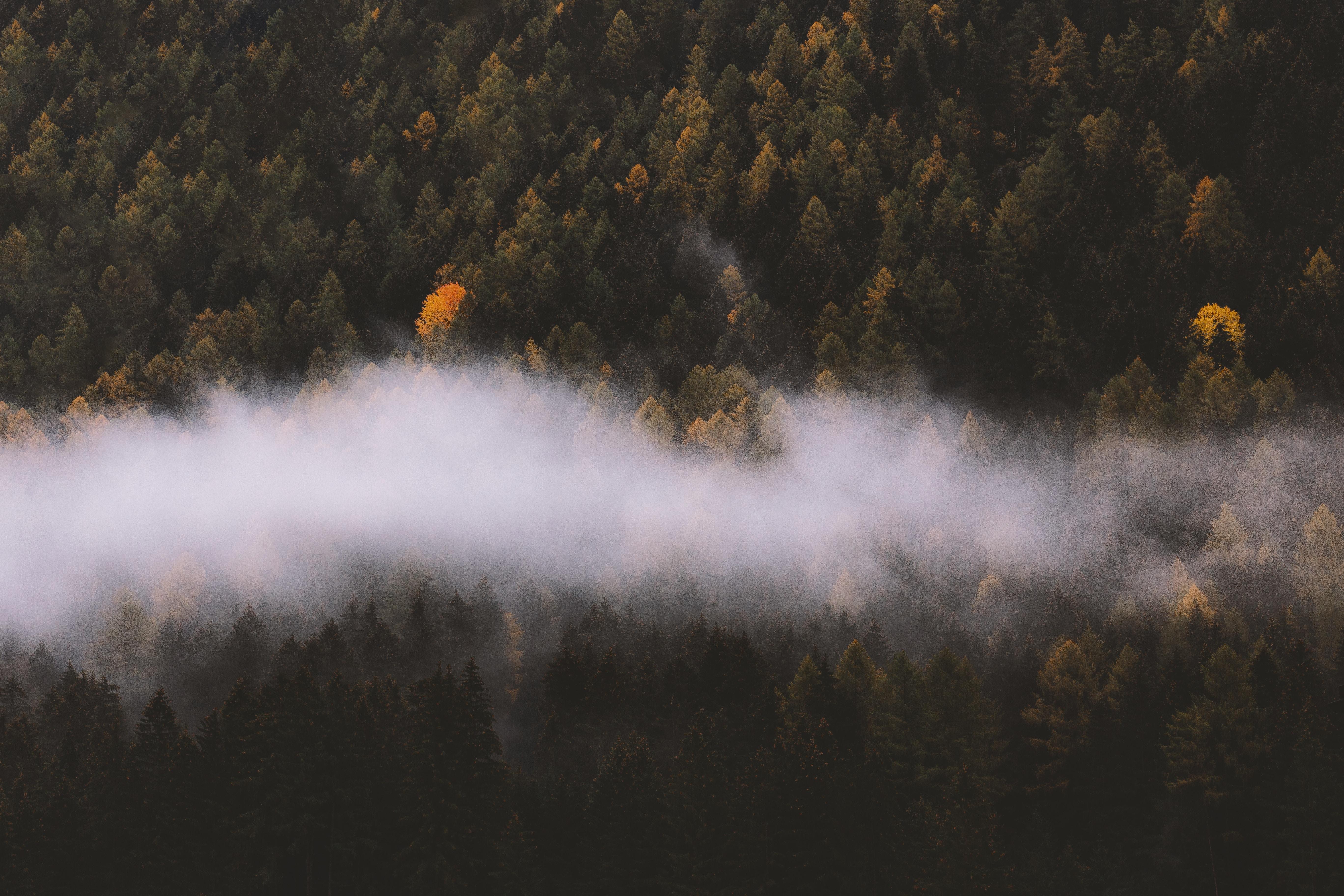 5472x3648 5472x3648 autumn, foggy, wallpaper, explore more, nature landscape, Creative Commons image, drone view, mist, mist haze, fog, fall, explore, nature, misty, from above, nature green