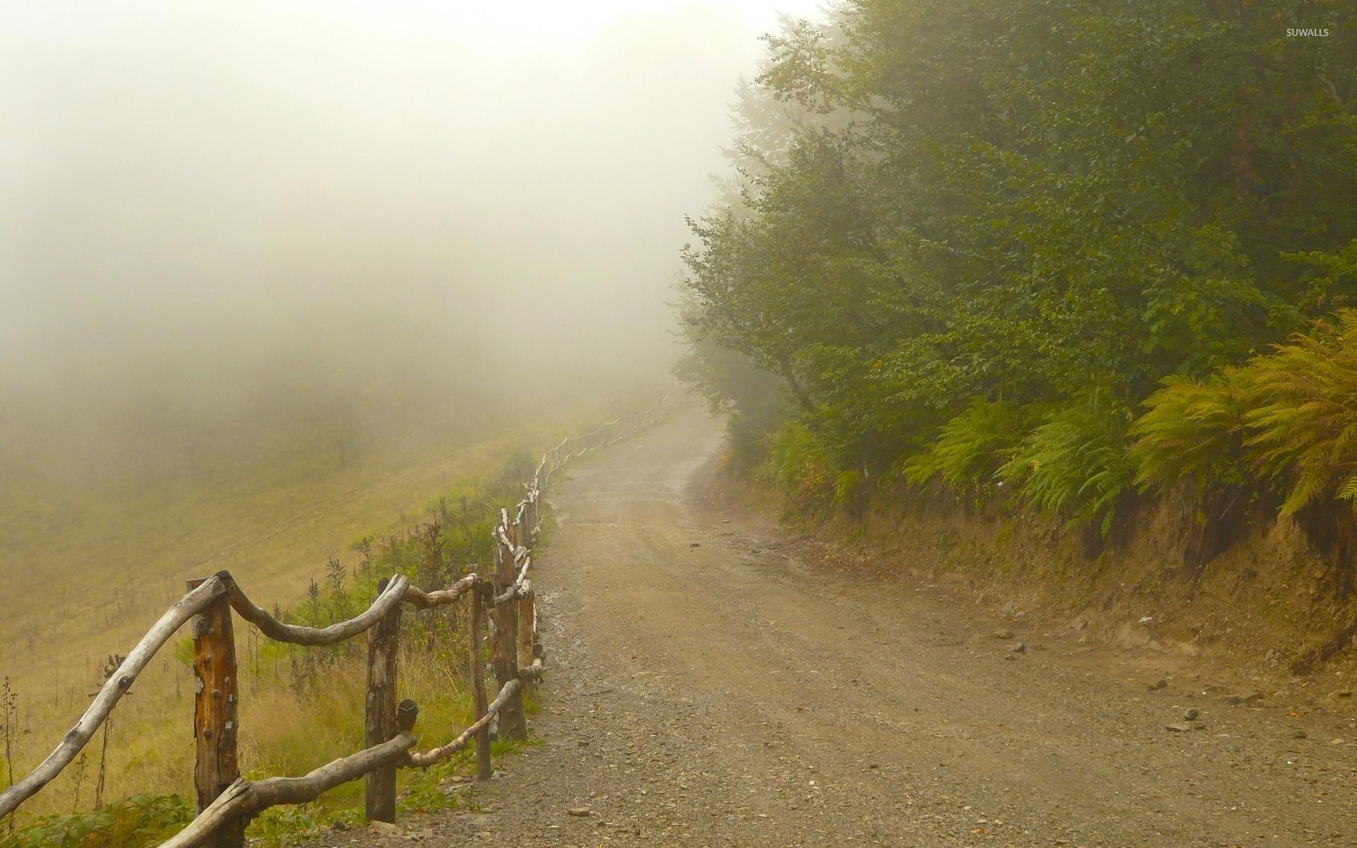 1920x1200 Foggy path by the forest wallpaper wallpaper