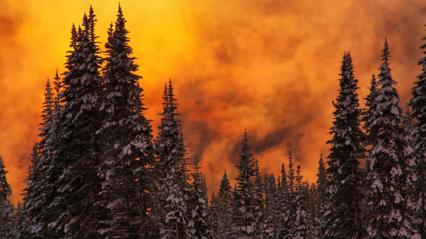 1366x768 Foggy Winter Sunset Wallpaper Winter Nature Wallpaper in jpg format for free download