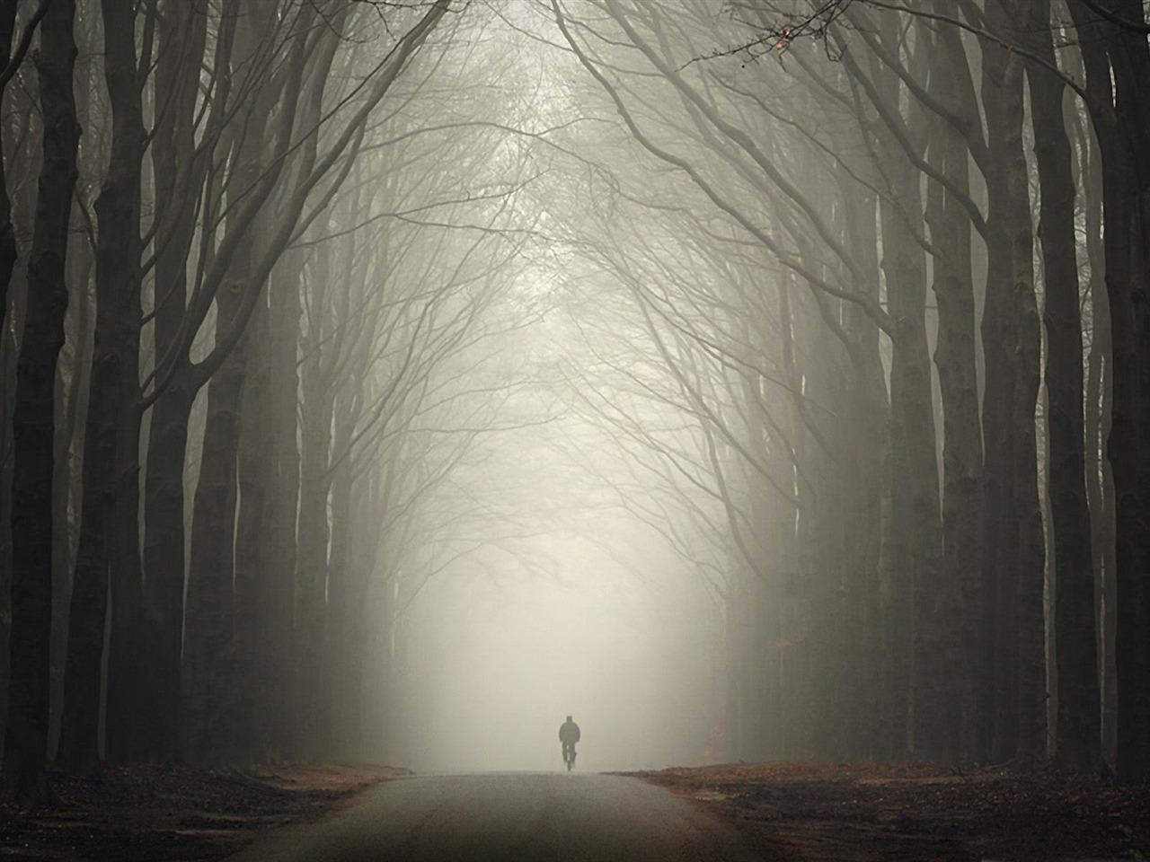 1280x960 The Loneliness Of Autumn Autumn Nature Wallpaper