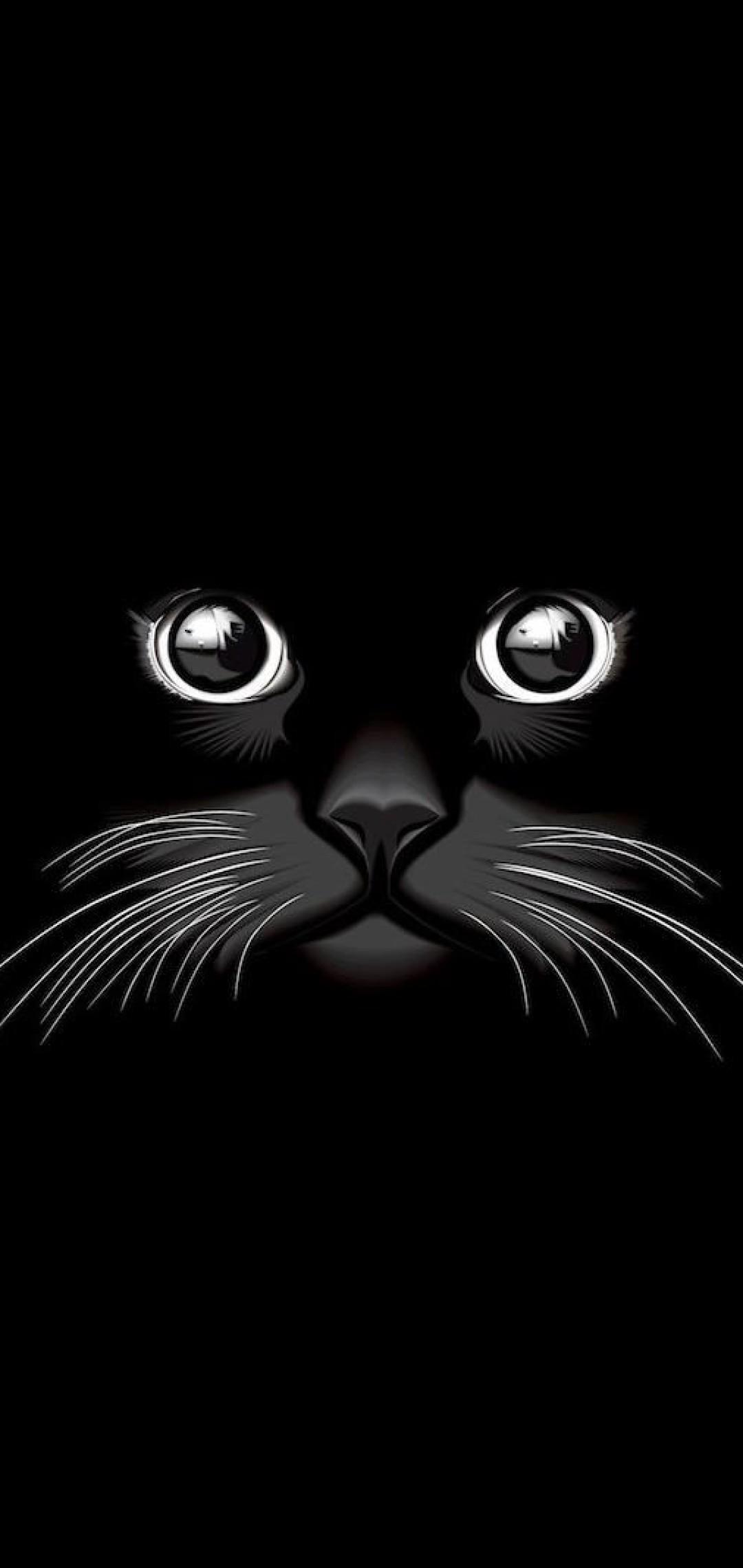 1080x2280 Black Phone Wallpaper