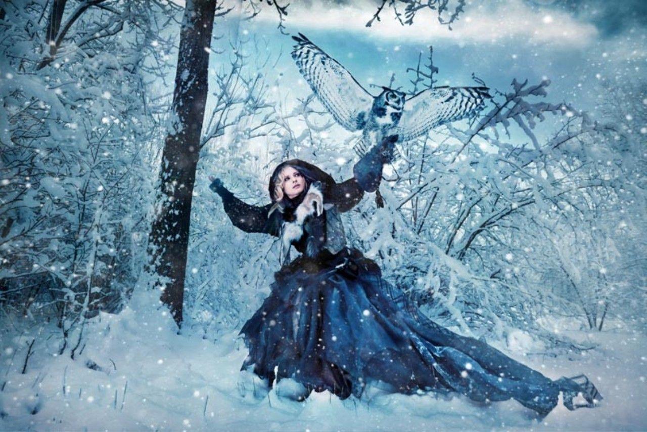 1280x854 Winter Owl Wallpaper