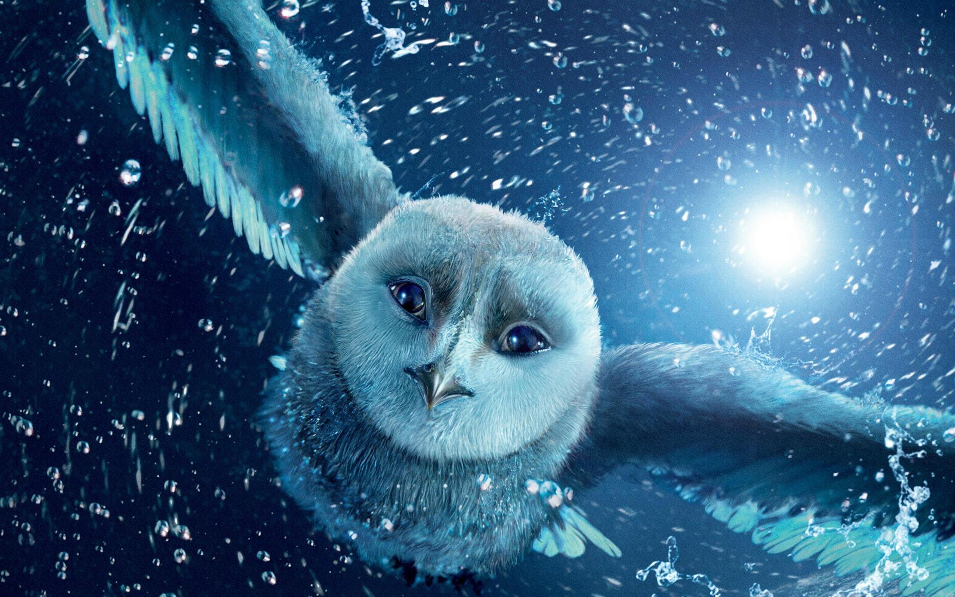 1920x1200 Legend Of The Guardians Owl Bird Animal Cartoon Wallpaper:1920x1200