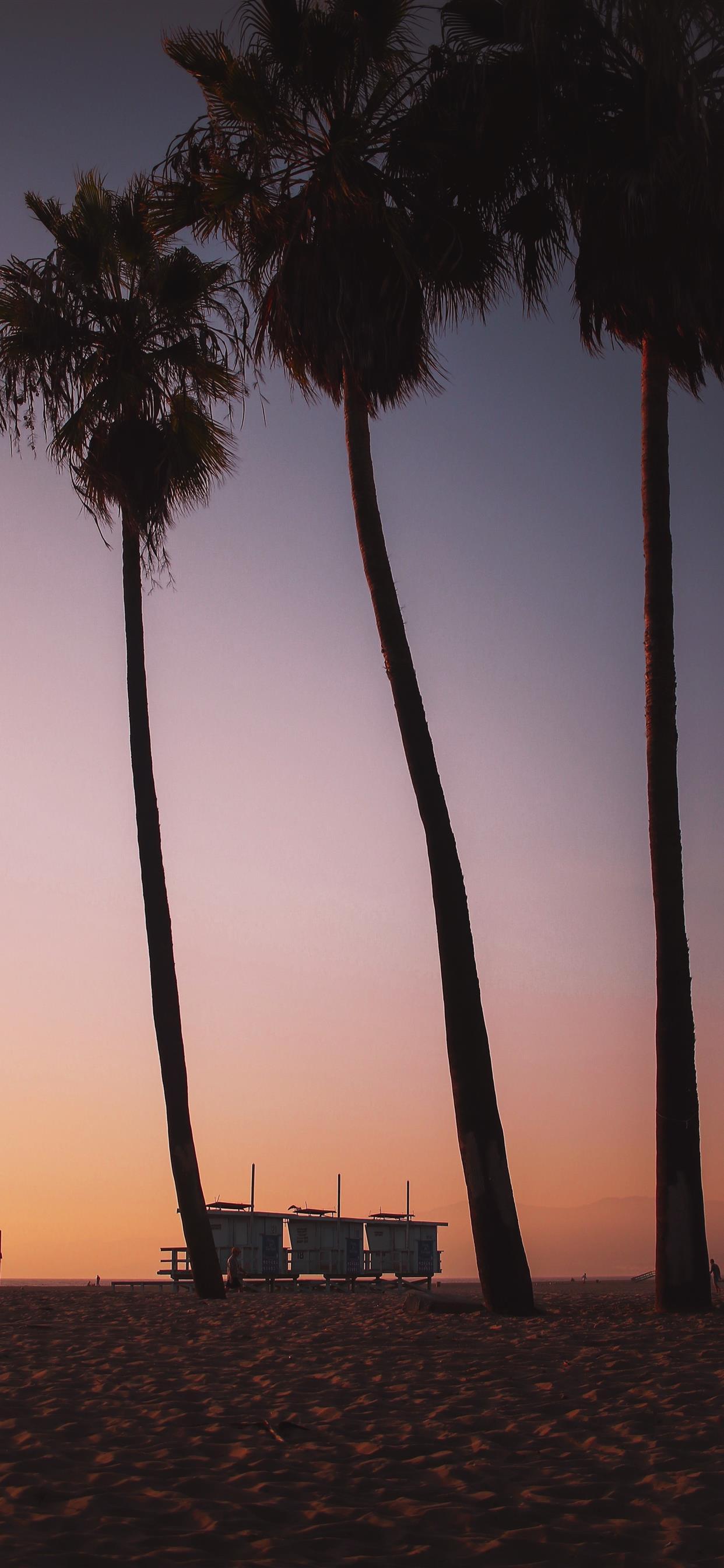 1242x2688 Sunsets in Venice Beach are like ketchup to your f. iPhone X Wallpaper Free Download