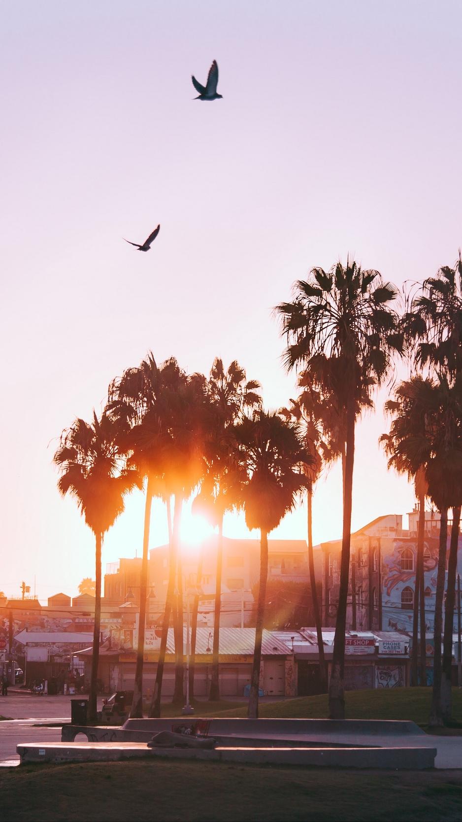 938x1668 Venice Beach Los Angeles Wallpaper