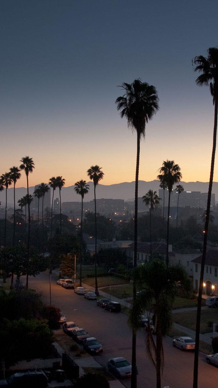 750x1334 Venice Beach Los Angeles Wallpaper