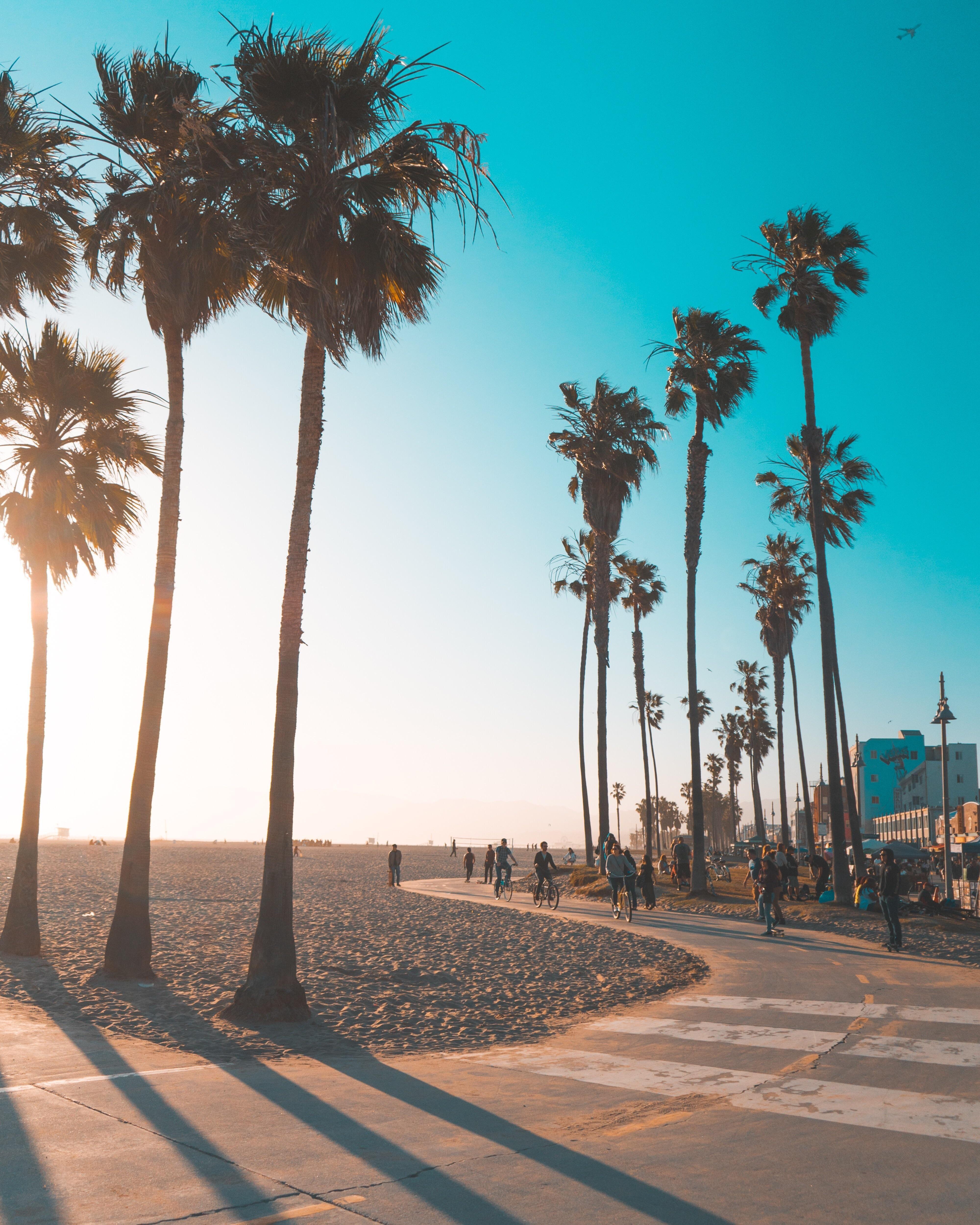 4000x5000 Can't get enough of that Venice Beach sunset. Venice beach california, Beach aesthetic, Beach picture