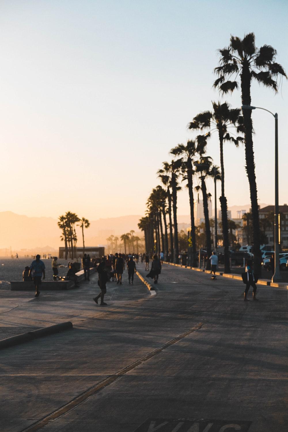 1000x1500 Beautiful Venice Beach Picture. Download Free Image