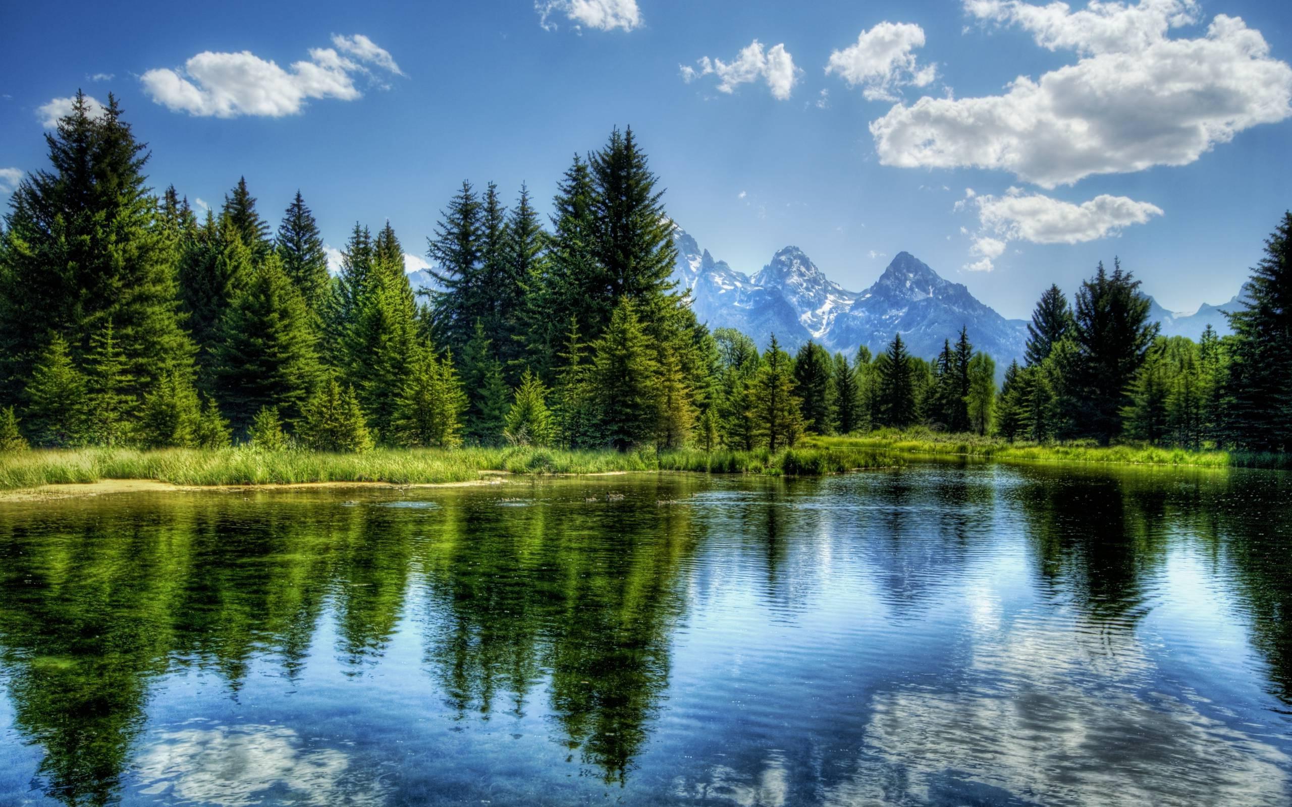 2560x1600 nature, HDR, River, Trees, Mountain, Landscape Wallpaper HD / Desktop and Mobile Background