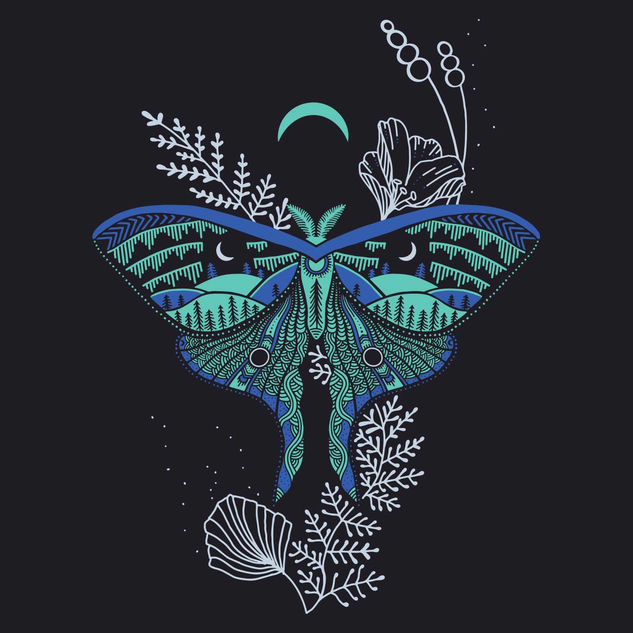 Luna Moth Wallpapers - Top Free Luna Moth Backgrounds - WallpaperAccess