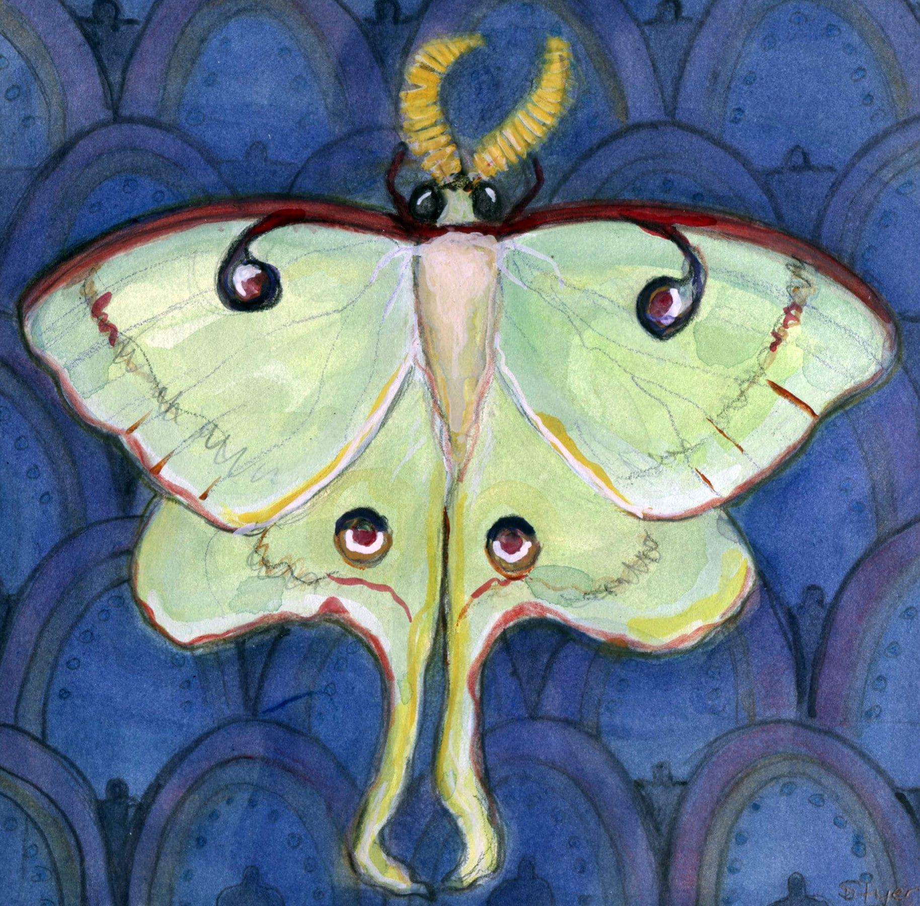 1828x1800 Luna Moth Art Print Moth Illustration Watercolor Painting of
