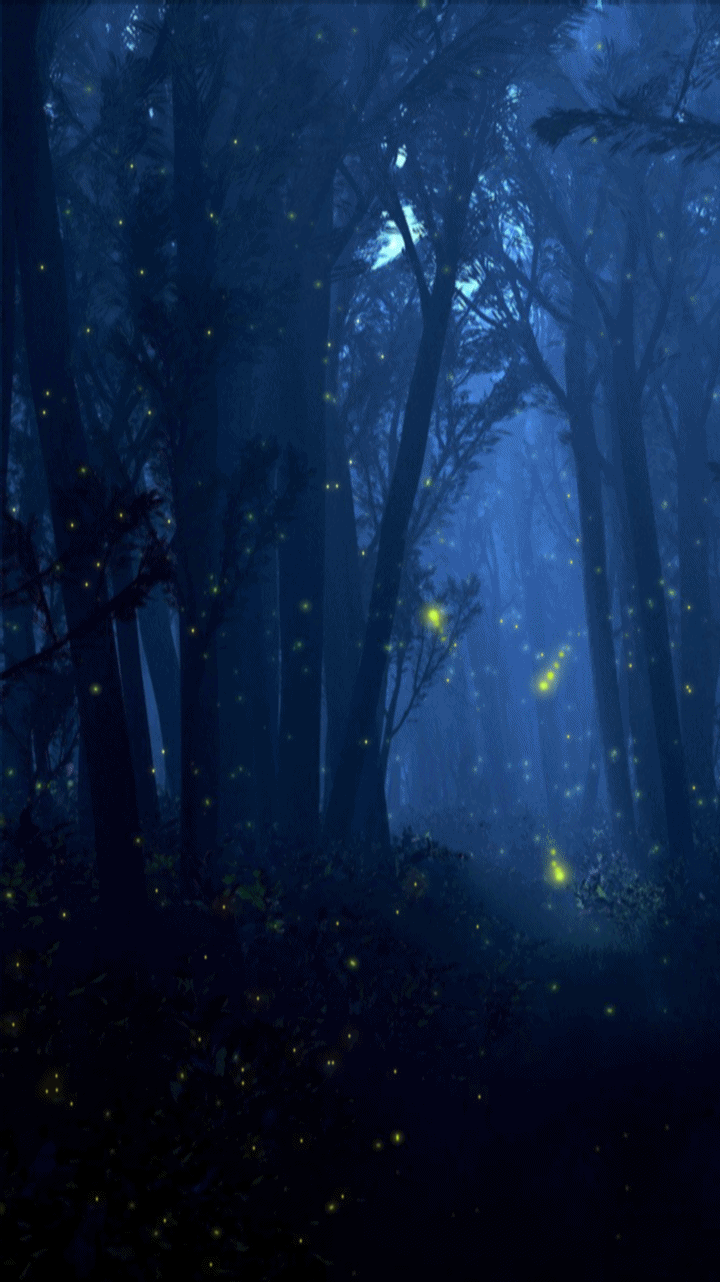 720x1282 Flying fireflies live wallpaper, Fireflies Forest Night live wallpaper, lightning bugs, firefly bug. Night forest, Forest wallpaper, Live wallpaper