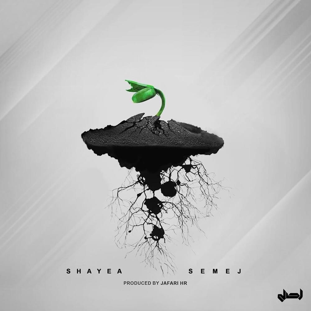 Shayea Wallpapers - Top Free Shayea Backgrounds - WallpaperAccess