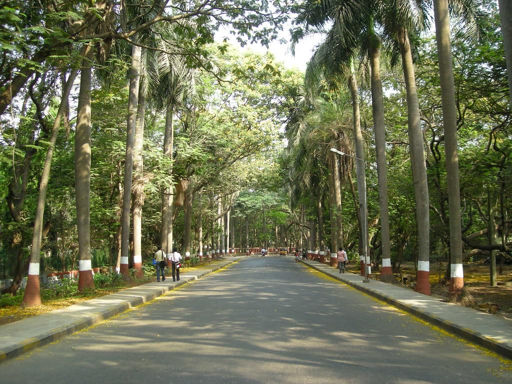1024x768 Central road in IIT Bombay campus