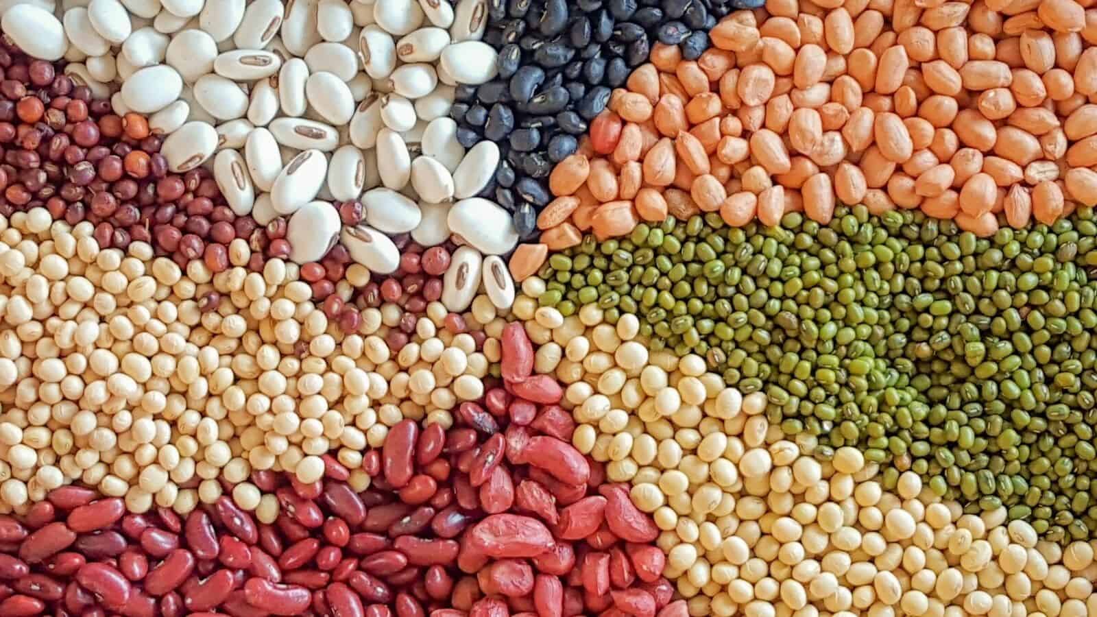 Legumes Wallpapers - Top Free Legumes Backgrounds - WallpaperAccess