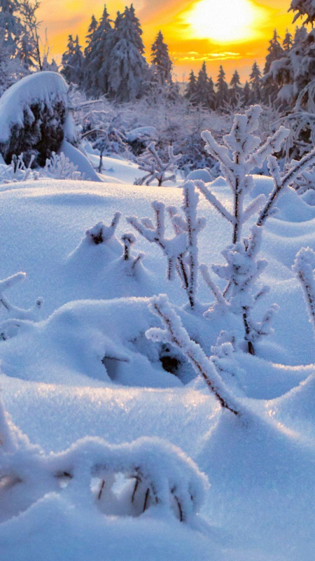 1080x1920 Vertical Winter HD Wallpaper