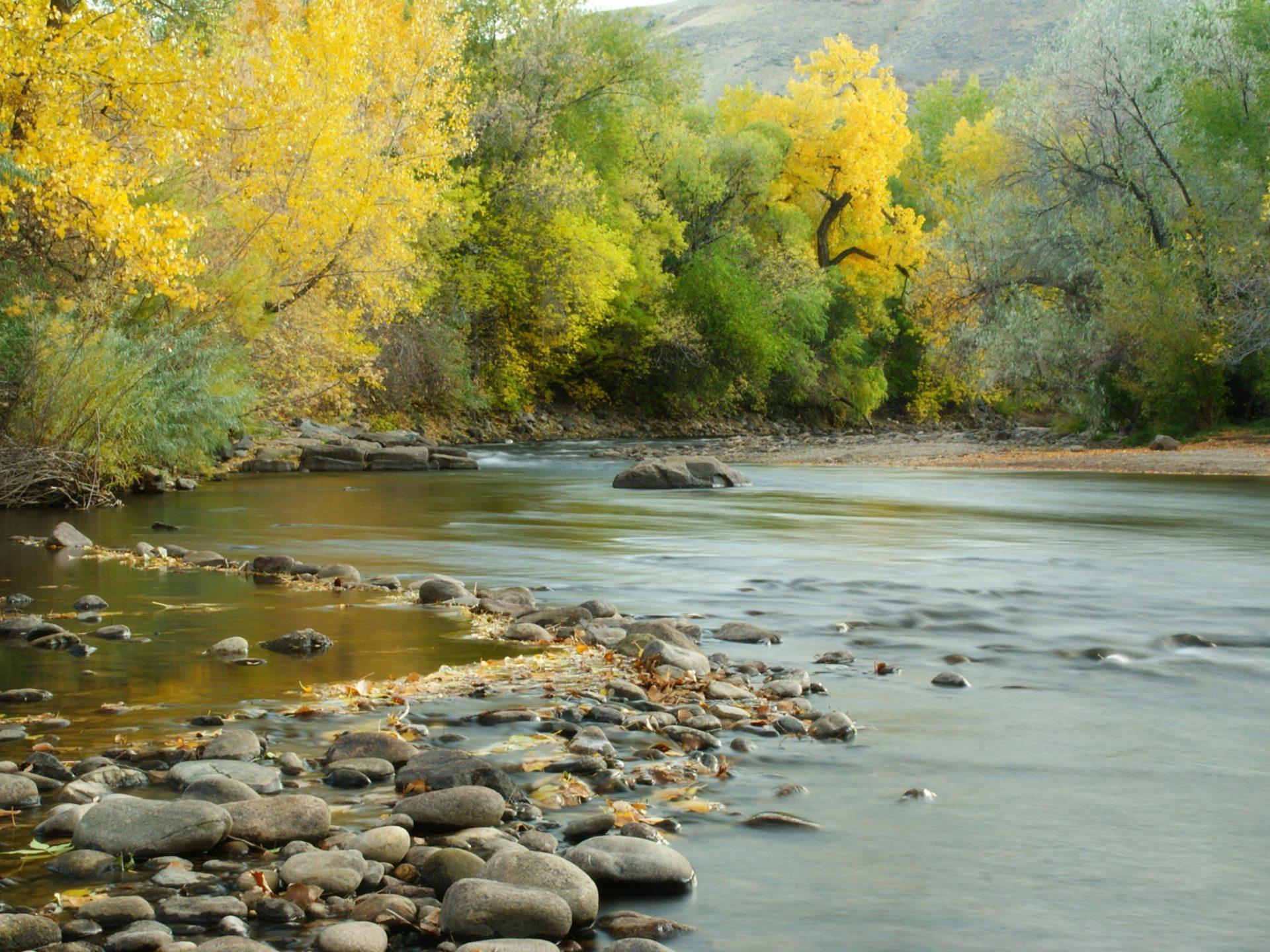 1920x1440 Fall Color Colorful Trees Clear Creek Is A Tributary Of South Platte River County Colorado Usa 4k Ultra HD Wallpaper For High Resolution Computer And Laptop :