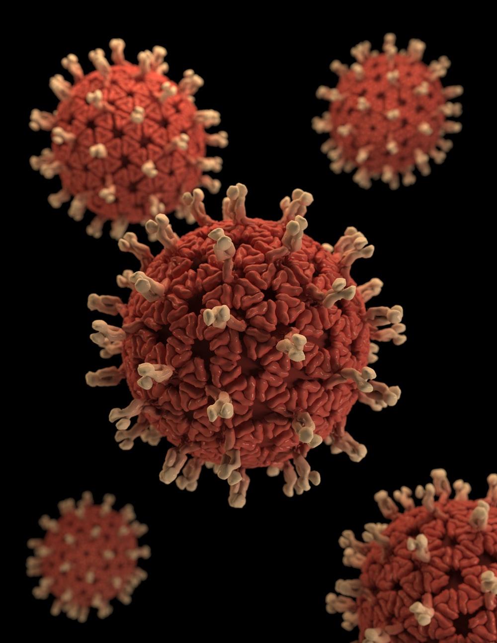 1000x1294 Virus Picture. Download Free Image