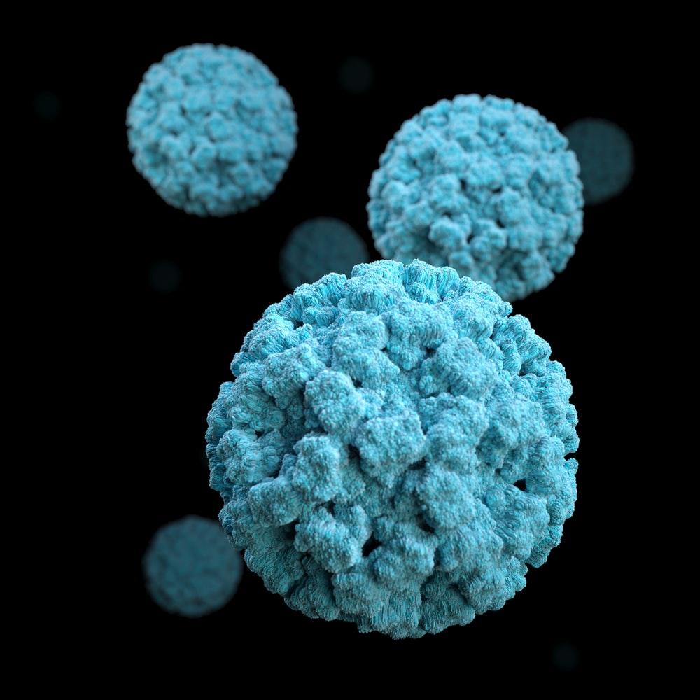 1000x1000 Virus Picture. Download Free Image