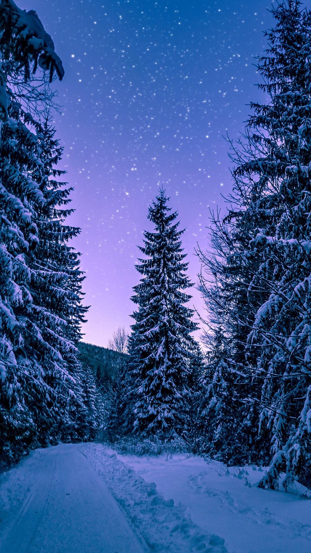 1080x1920 snow HD wallpaper, background