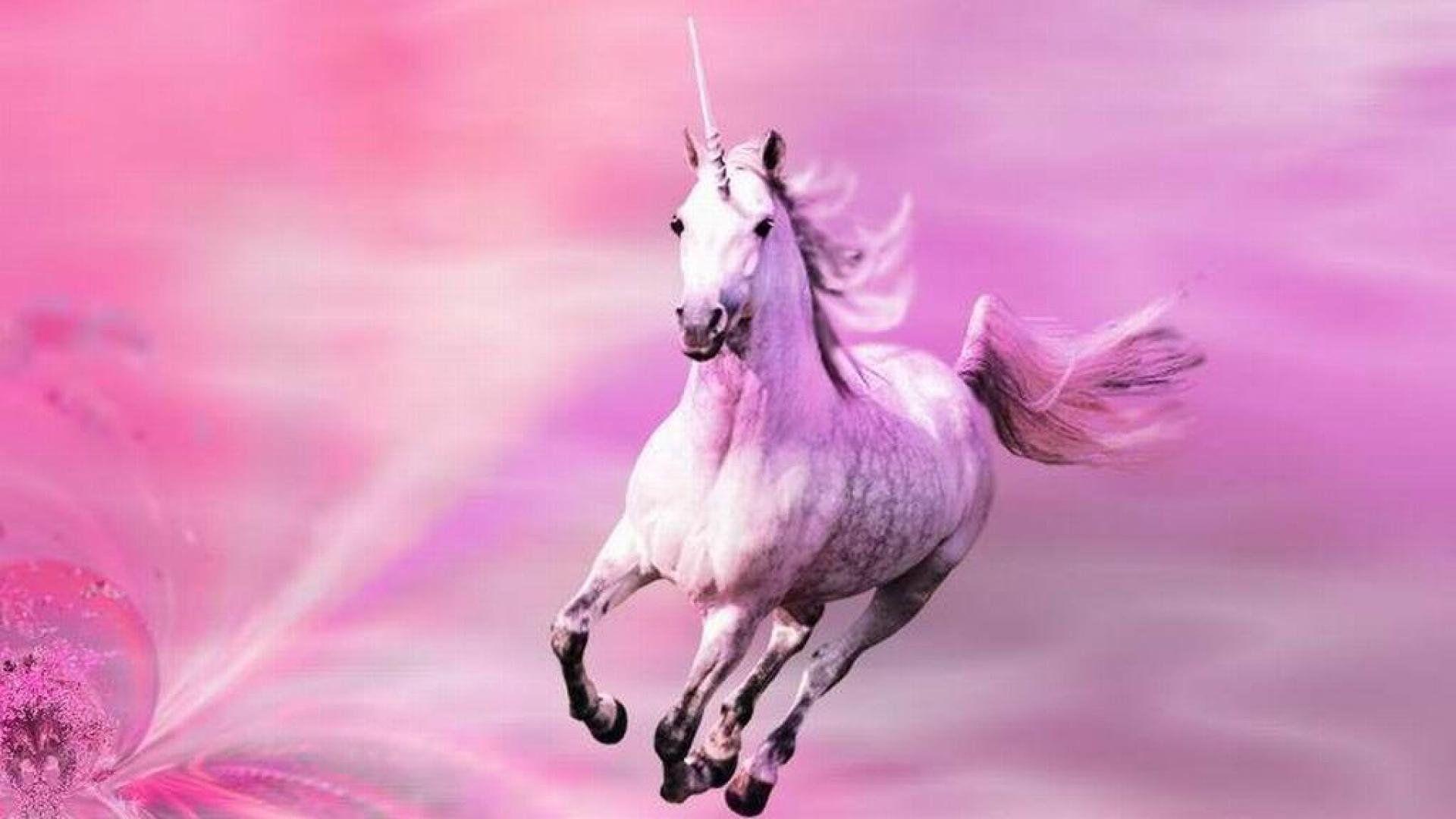 1920x1080 Unicorn Pink • Wallpaper For You HD Wallpaper For Desktop & Mobile