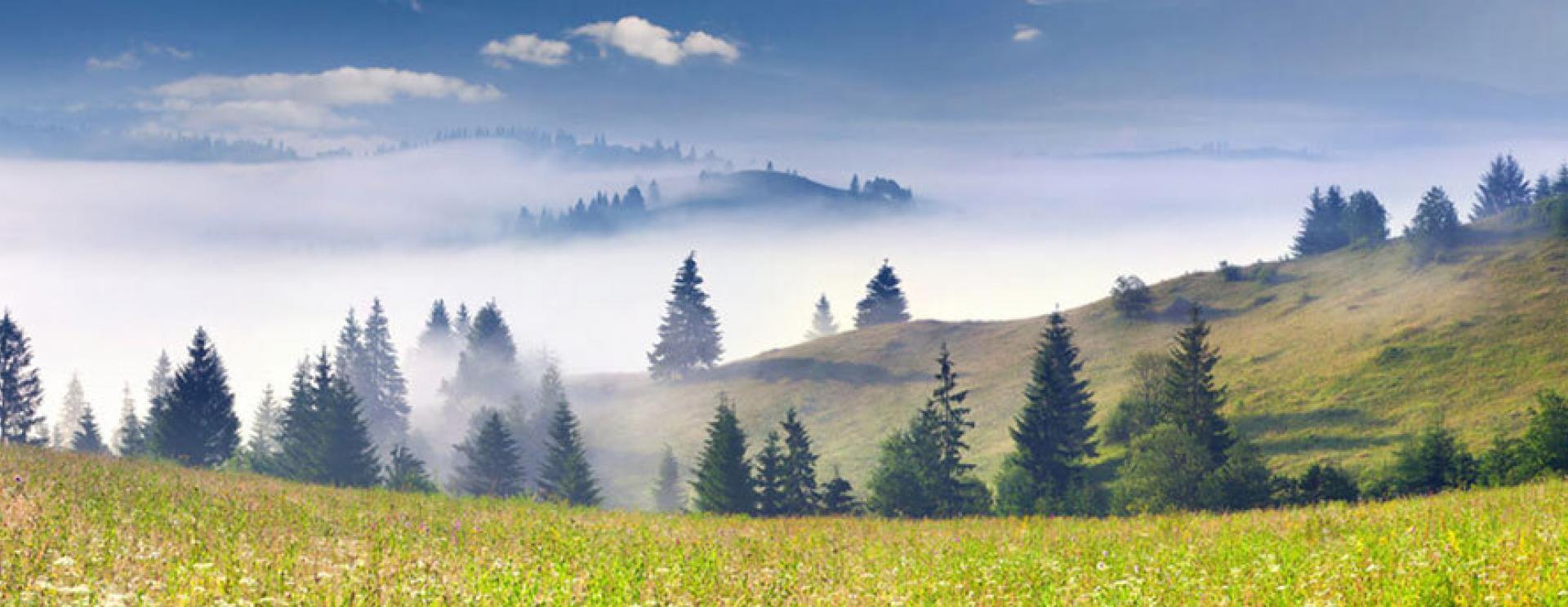 1920x744 Black Hills Oral Surgery & Dental Implant Center. Black Hills & Badlands