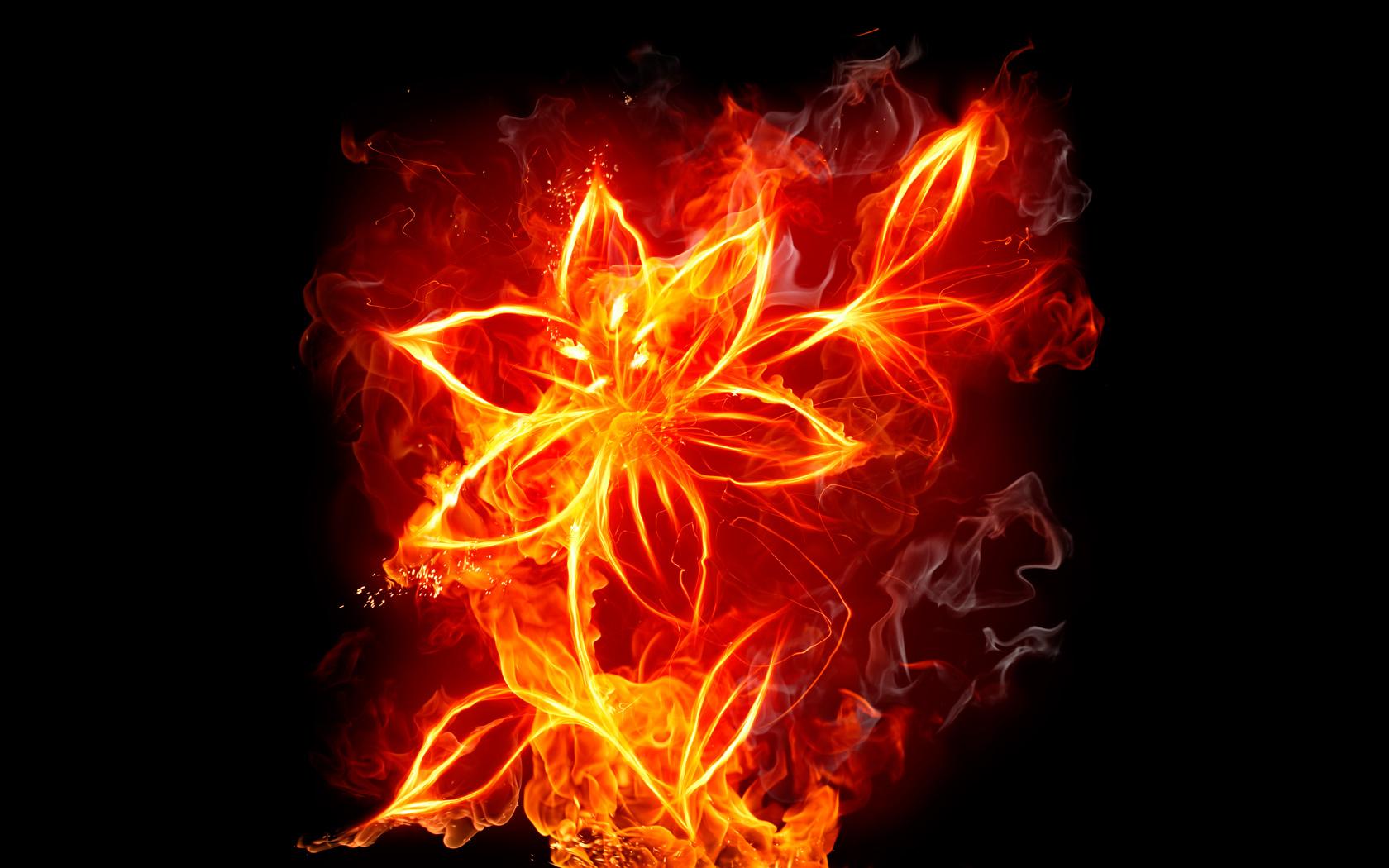 1680x1050 Download Fire Wallpaper 9221 1680x1050 px High Definition Wallpaper