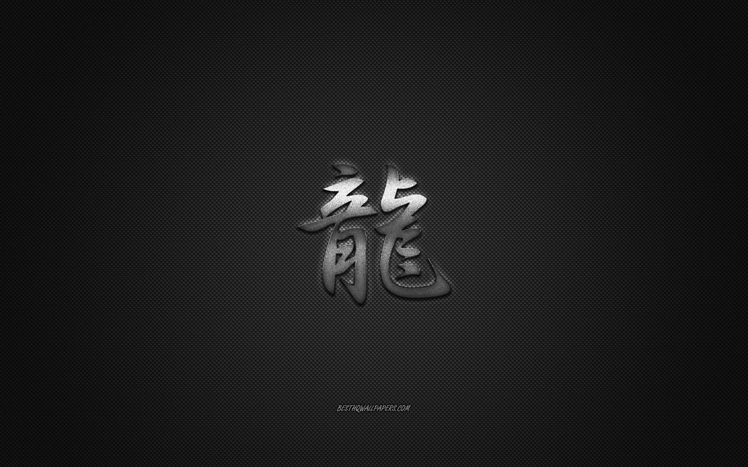 2560x1600 Download wallpaper Dragon Japanese character, metal character, Dragon Kanji Symbol, black carbon texture, Japanese Symbol for Dragon, Japanese hieroglyphs, Dragon, Kanji, Dragon hieroglyph for desktop with resolution 2560x1600. High Quality HD picture