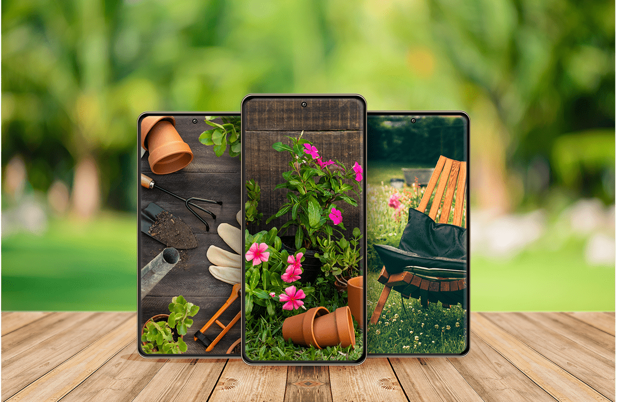 1200x783 Daily nature wallpaper 2021 your home screen & lock screen green and fresh! Widget Center