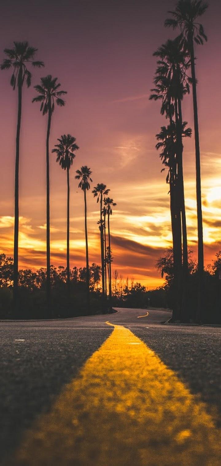 720x1520 Sunset Road Landscape Scenery 4K Wallpaper