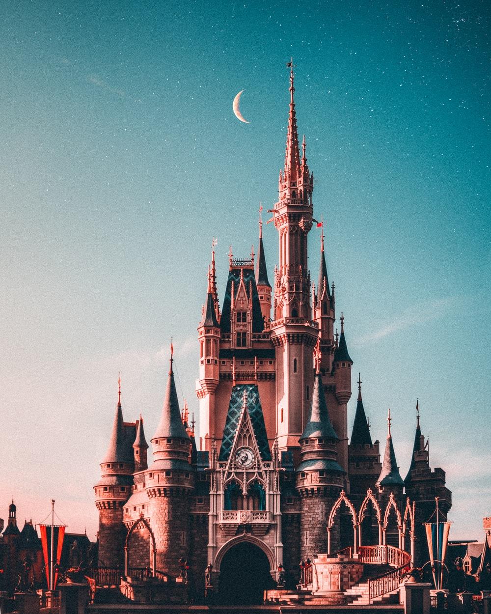 1000x1250 Disney Castle Picture. Download Free Image