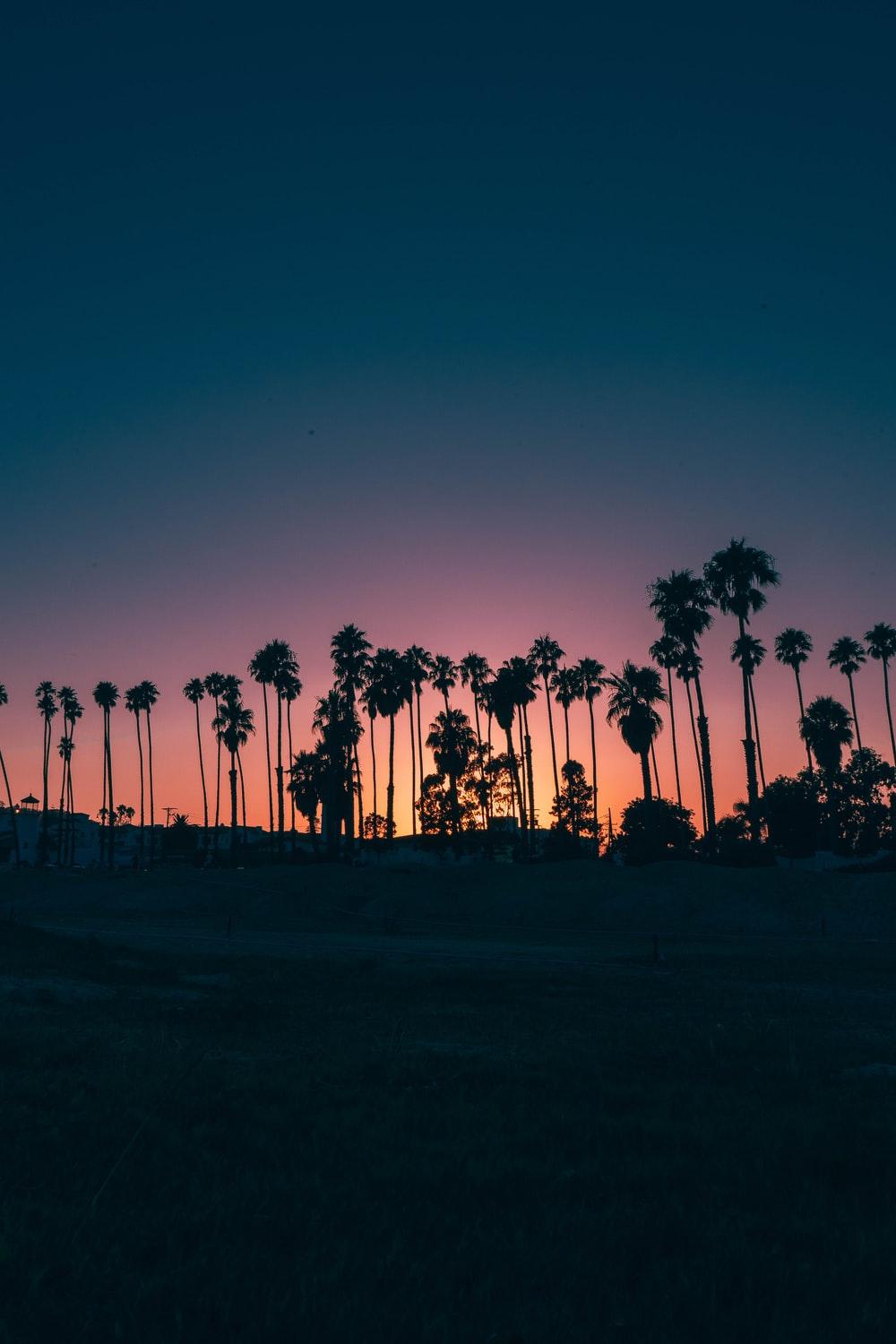 1000x1500 Dusk Picture. Download Free Image