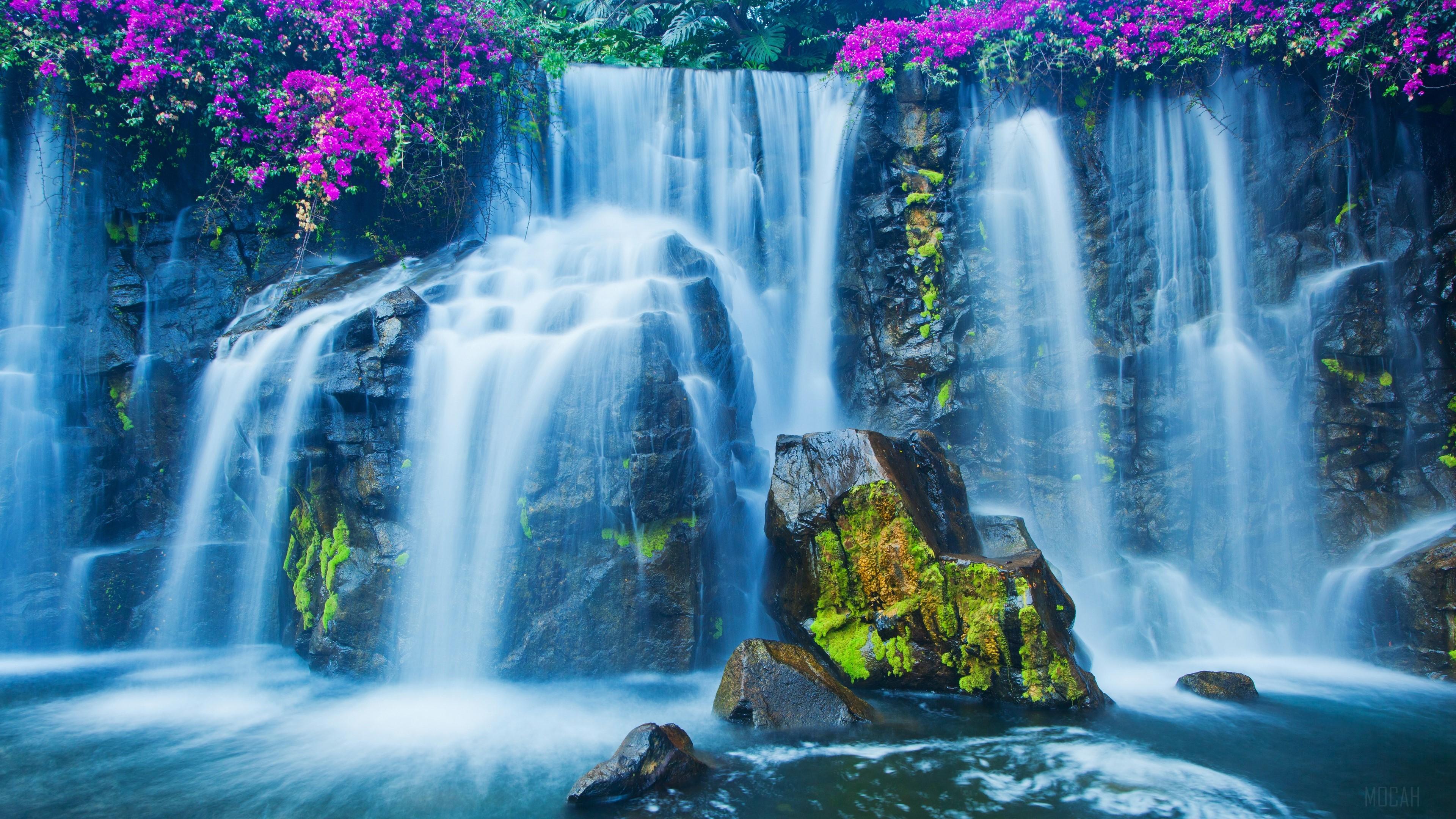 3840x2160 Flower, Nature, Rock, Waterfall 4k wallpaper. Mocah HD Wallpaper