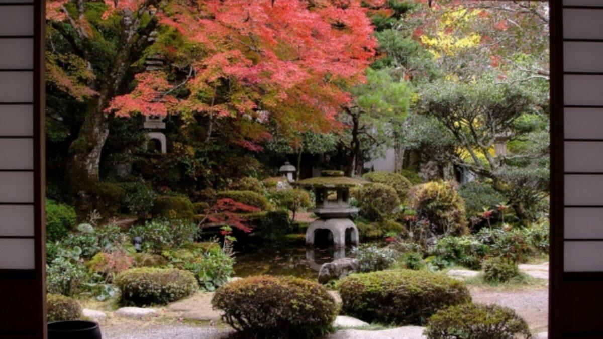 1200x675 How to create a Japanese garden design in 16 steps