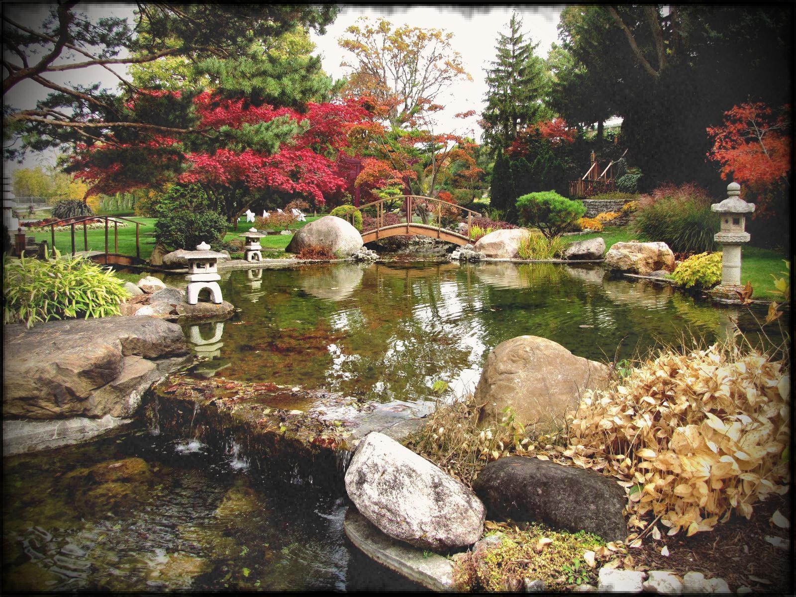 1600x1200 Water Garden Wallpaper, HD Water Garden Background