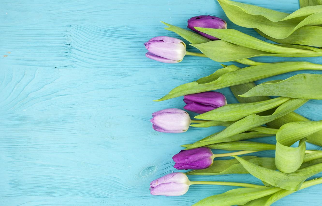 Pink Purple and Turquoise Wallpapers - Top Free Pink Purple and ...