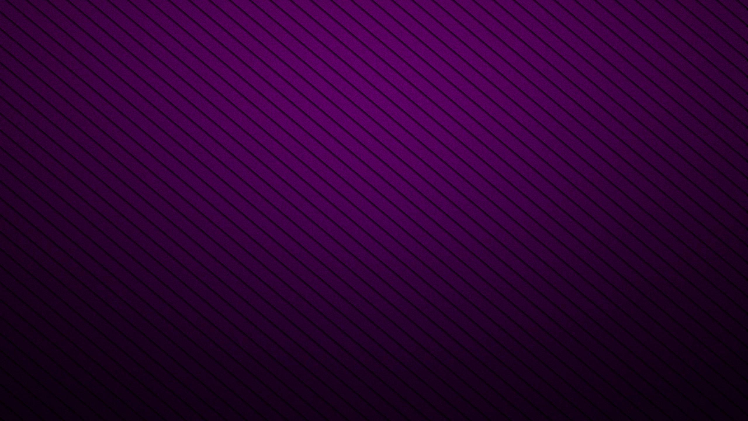 2560x1440 Free download Black And Purple Wallpaper [2560x1440] for your Desktop, Mobile & Tablet. Explore Purple And Black Wallpaper. Silver and Purple Wallpaper, Purple and White Wallpaper, Purple Wallpaper for Walls