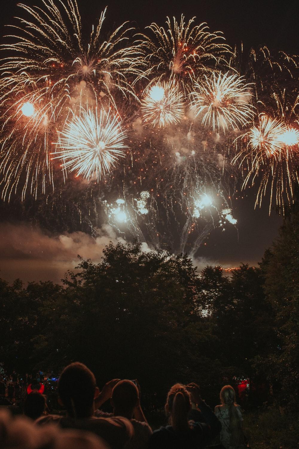 1000x1500 Fireworks Picture. Download Free Image