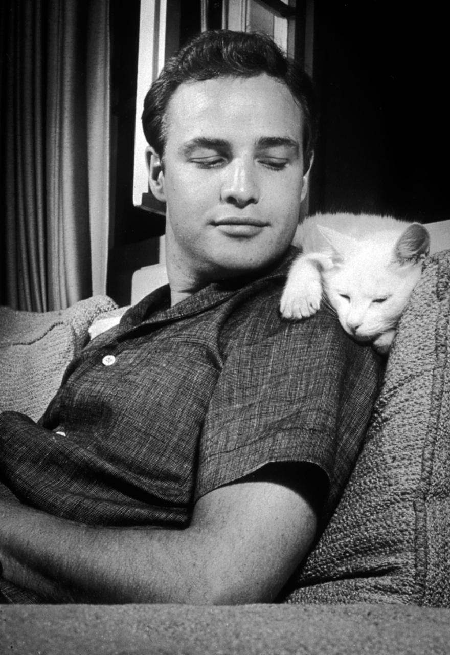 880x1280 Marlon Brando Wallpaper