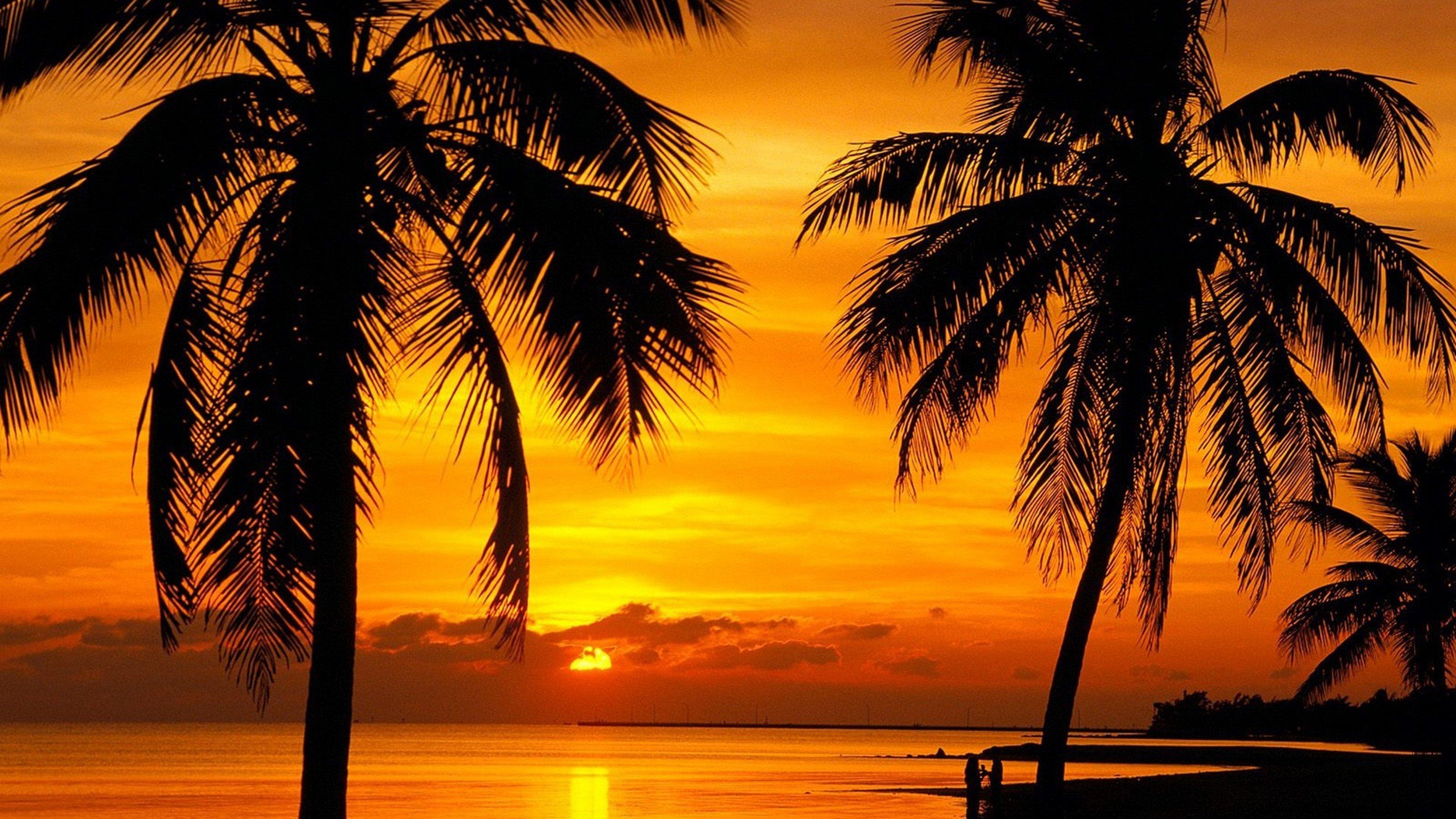 4000x2250 florida key, Sunset, Beach, 4000x2250 Wallpaper HD / Desktop and Mobile Background