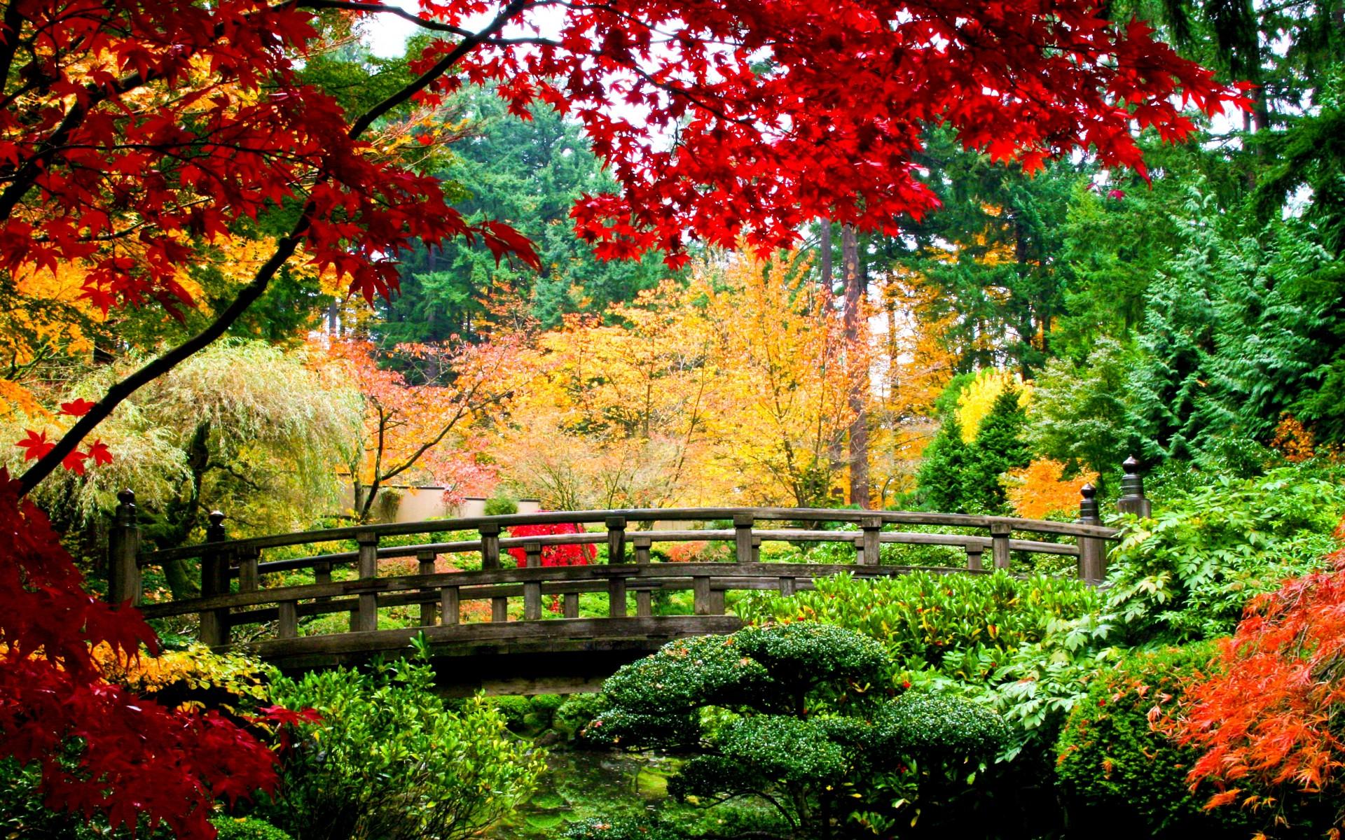 1920x1200 world, Architecture, Bridges, Asian, Oriental, Garden, Fall, Autumn, Colors, Seasons, Leaves, Stream, Plants, Rivers Wallpaper HD / Desktop and Mobile Background
