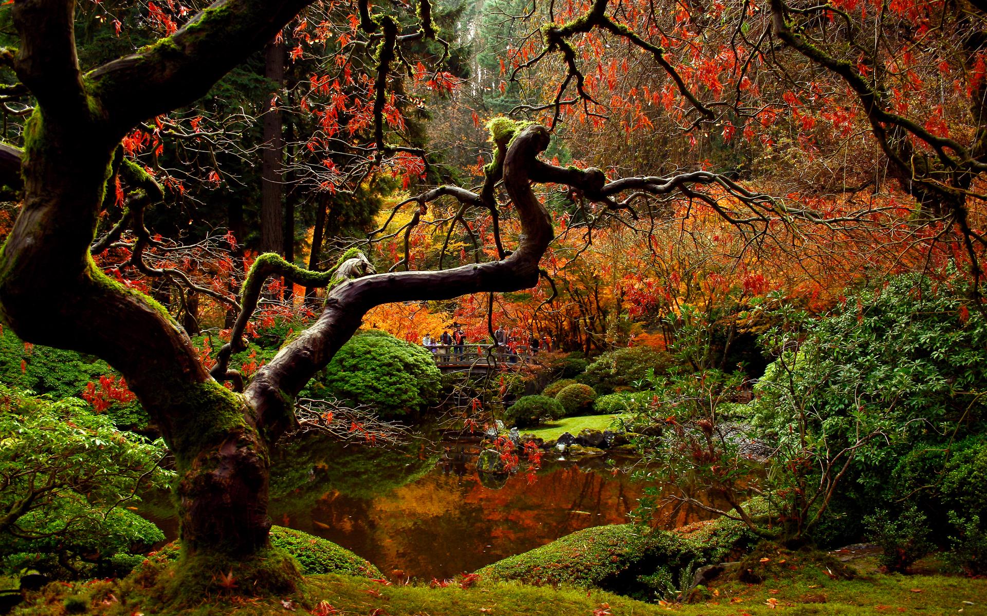 1920x1200 Free download Autumn Japanese Garden Wallpaper 1920x1200 Wallpaper 3D for desktop [1920x1200] for your Desktop, Mobile & Tablet. Explore 3D Fall WallpaperD Wallpaper for Windows Free 3D