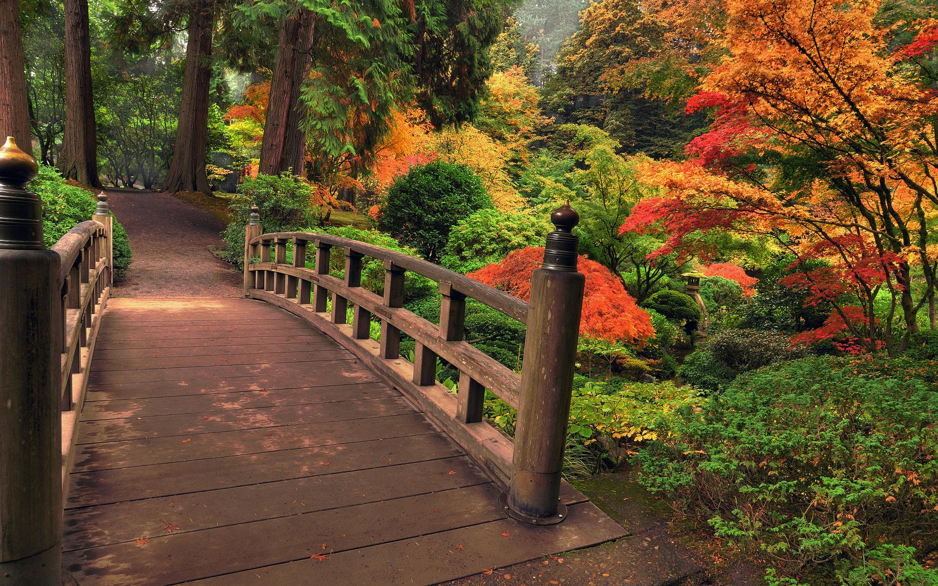 1920x1200 architecture, Bridges, Garden, Nature, Landscapes, Stream, Plants, Bush, Trees, Autumn, Fall, Maple, Forest, Color, Leaves Wallpaper HD / Desktop and Mobile Background