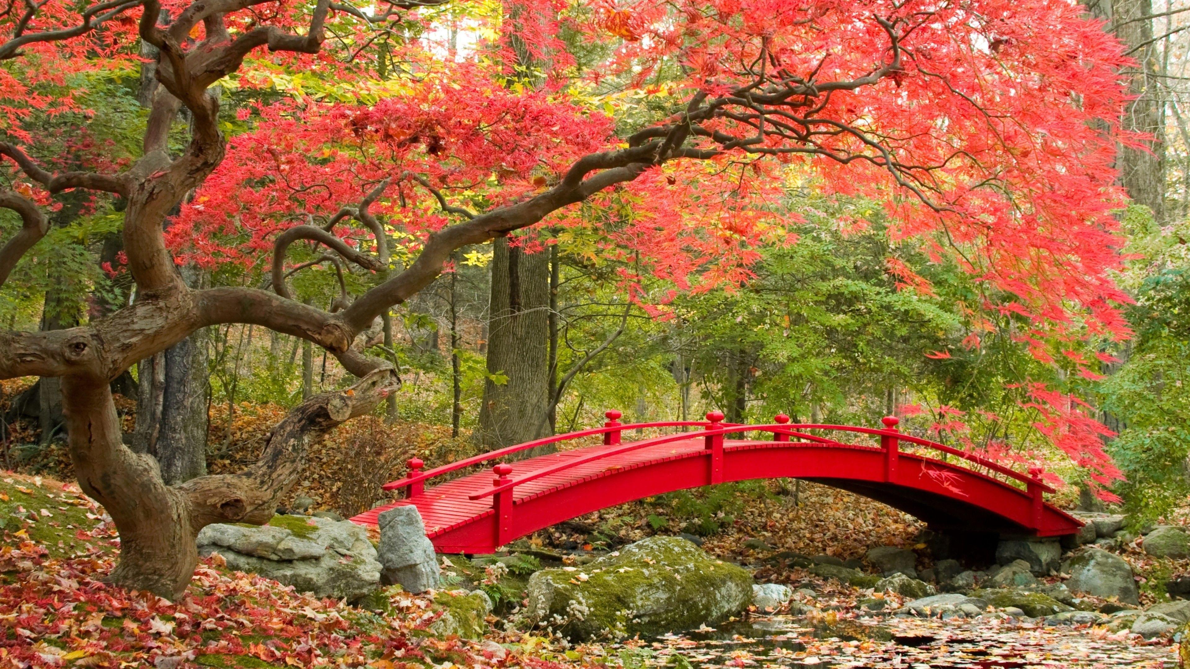 3840x2160 Autumn Zen Garden Wallpaper