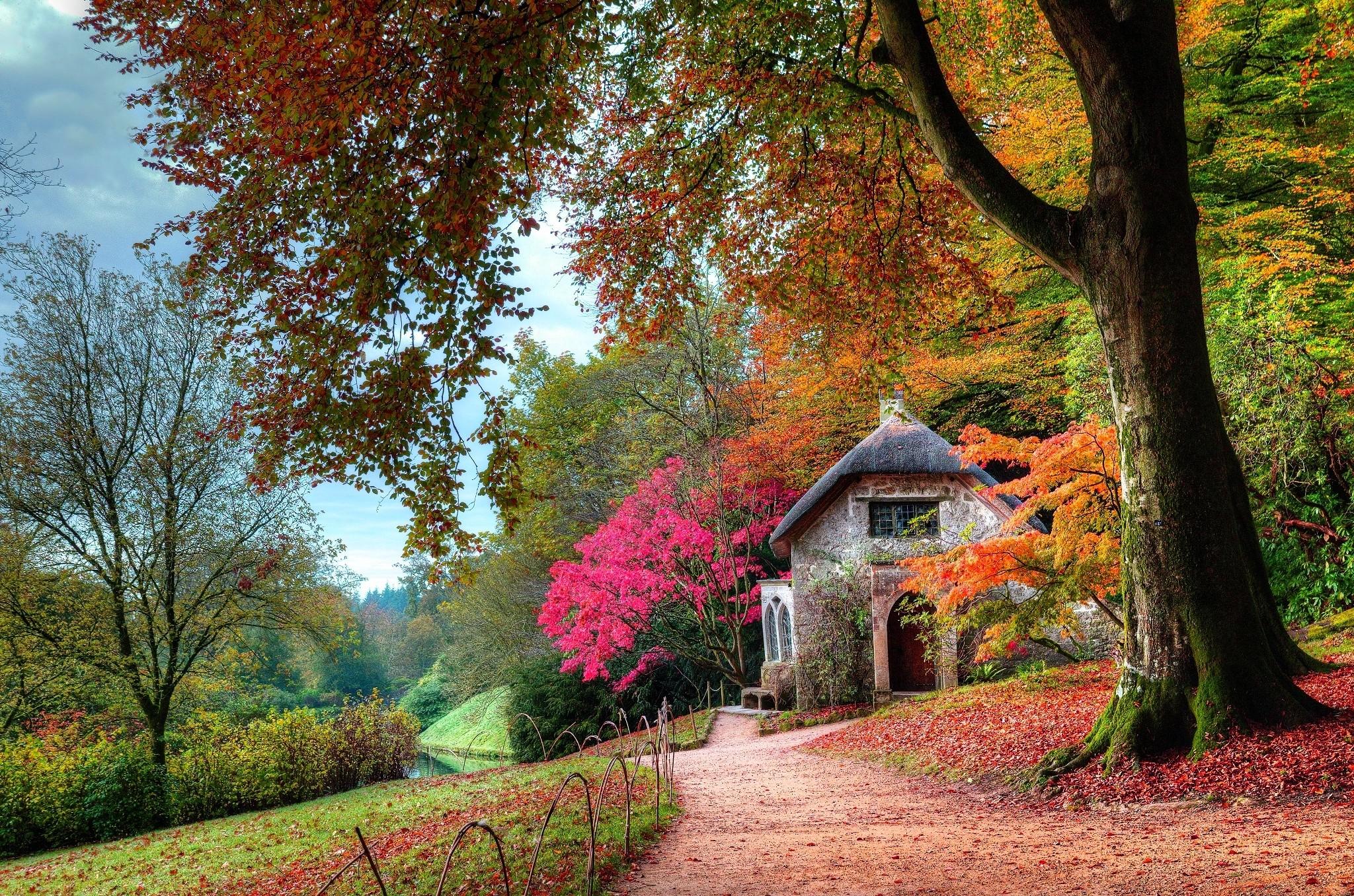 2048x1357 #cottage, #path, #moss, #nature, #shrubs, #leaves, #pink, #dirt road, #landscape, #orange, #trees, #fall, #green, #garden, wallpaper. Mocah HD Wallpaper