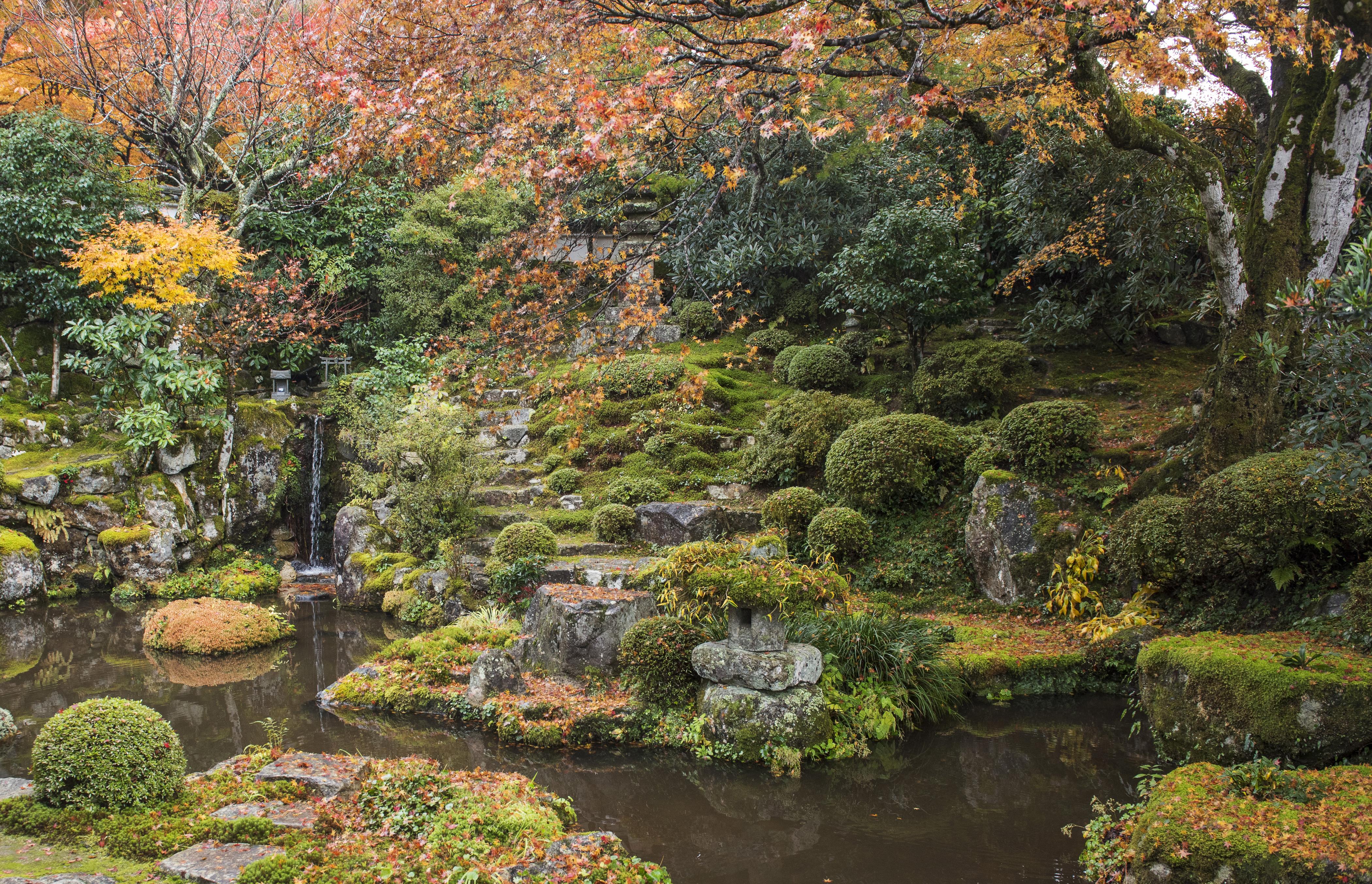 4200x2705 Fall Garden Japanese Garden Nature Wallpaper:4200x2705