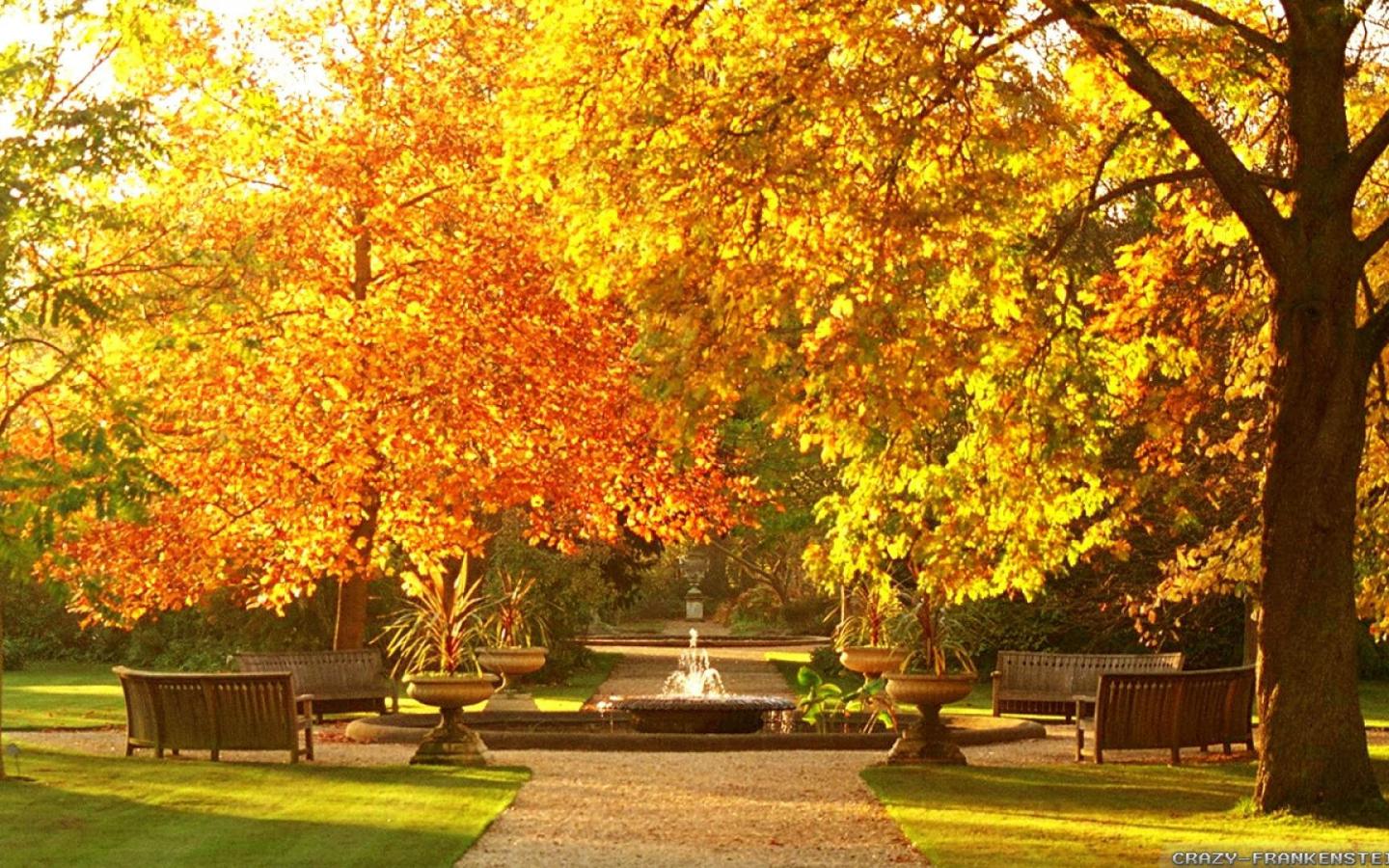 1440x900 Free download Beautiful Botanic Garden Autumn Wallpaper Widescreen [1920x1080] for your Desktop, Mobile & Tablet. Explore Wallpaper Garden. Garden Wallpaper, Wallpaper Garden, Wallpaper Japanese Garden