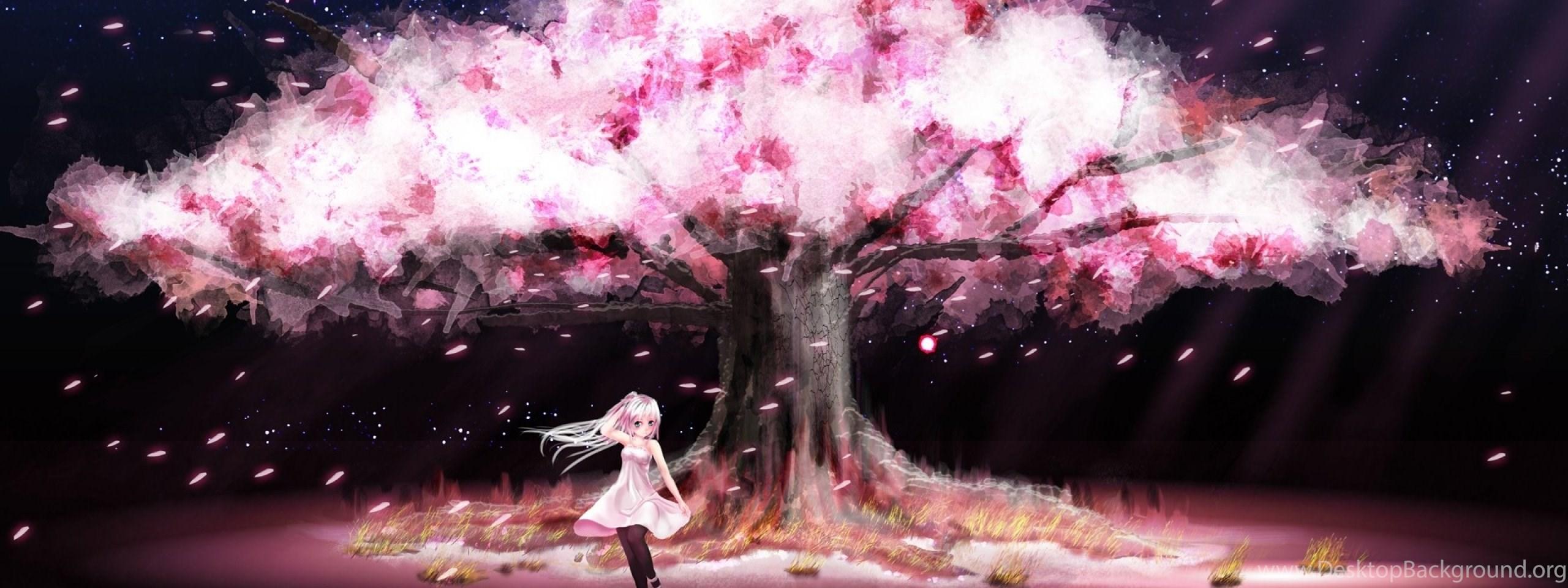 2560x960 Cherry Blossom Tree Wallpaper Tag WalOps.com Desktop Background